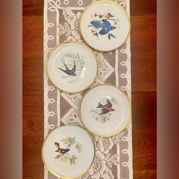 Hutschenreuther Pasco Bone China Audubon Bird Plates (8”)